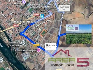 Landgut in Sur. Suelo rústico edificable de 5 hectáreas zona salesianos mérida –