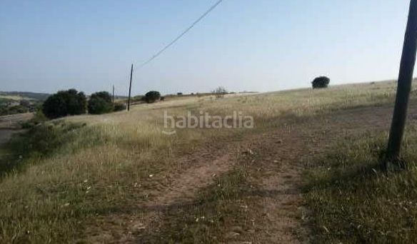 Foto 12abd28b-4e98-4bbf-b43c-2e4b87e8da00. Finca rústica a Almendral