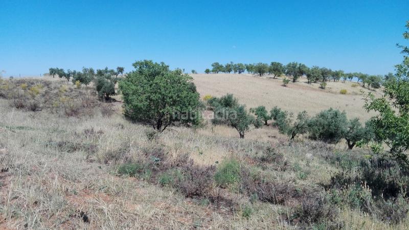 Foto 9e42ebbc-eb22-402a-9f30-772809e58874. Residential plot in Don Álvaro