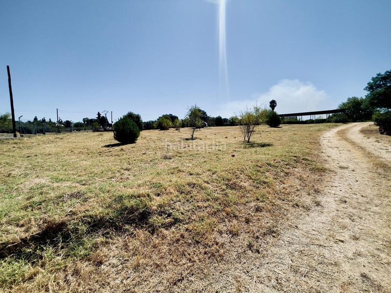 Foto 3057a018-9d97-45e2-be04-9d2ada19f110. Casa amplio chalet con parcela de ensueño en Carretera de Sevilla - Los Montitos Badajoz