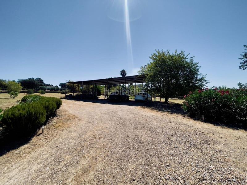 Foto 968dd1e7-3624-4be6-8657-5d30c66d4cdf. Casa amplio chalet con parcela de ensueño en Carretera de Sevilla - Los Montitos Badajoz