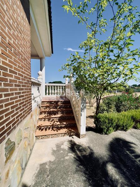 Foto c2e9eabc-7a72-4d2a-92cd-ced9f06e4e8f. Casa amplio chalet con parcela de ensueño en Carretera de Sevilla - Los Montitos Badajoz