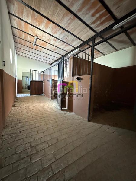 Foto 2ac865fd-9481-44a0-9e4a-a591ee668412. Chalet exclusivo chalet independiente . en Las Vaguadas Badajoz