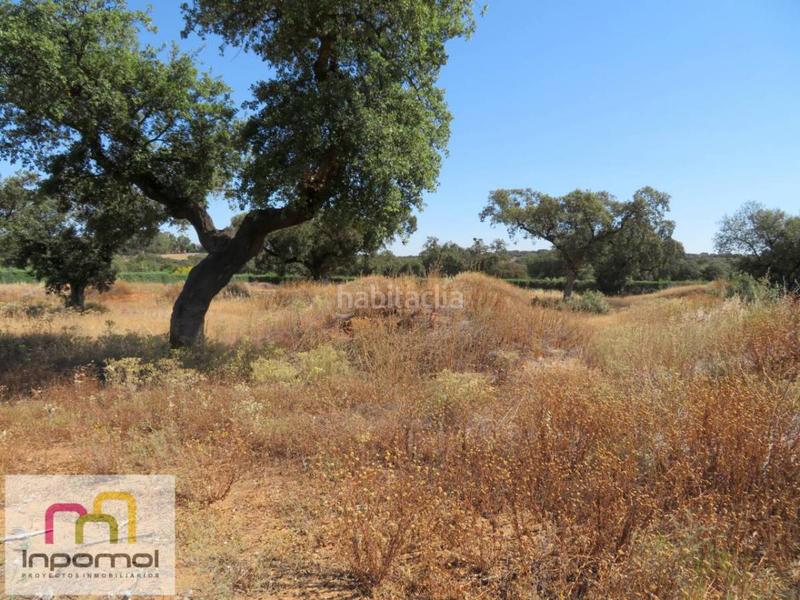 Foto 290077b1-f8ba-4b7e-bfba-2d2005ed4f62. Terreny residencial a Carretera de Sevilla - Los Montitos Badajoz