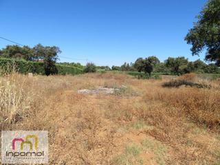 Terreny residencial a Carretera de Sevilla - Los Montitos. Parcela en venta