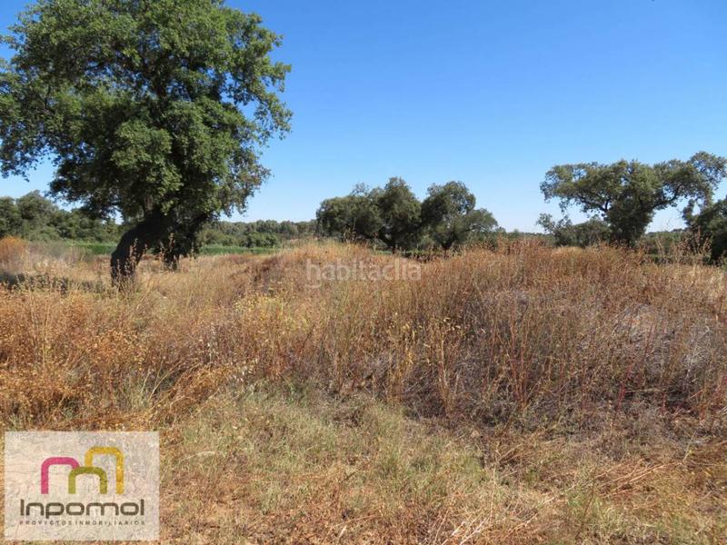 Foto 56ced542-14c9-4467-9bf3-ba5216275e31. Terreny residencial a Carretera de Sevilla - Los Montitos Badajoz