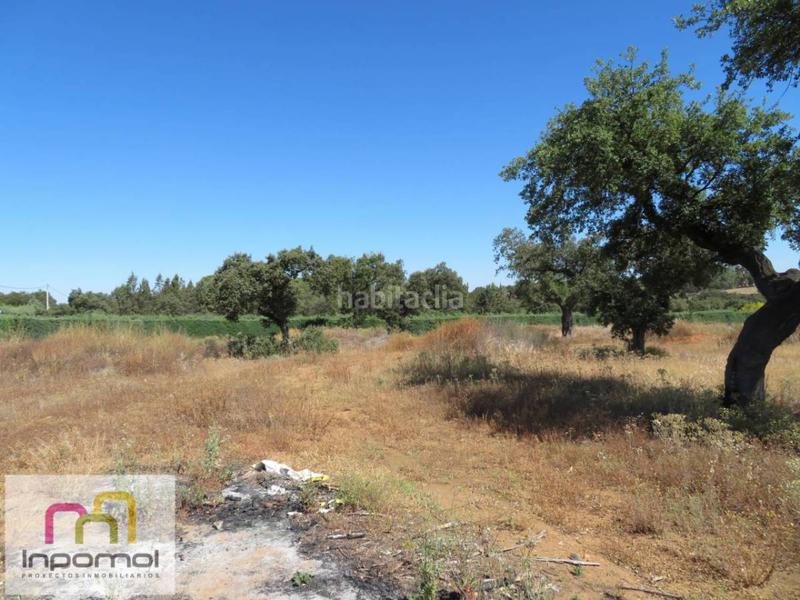 Foto 8f1114c4-5770-4857-a16c-2e1578b791a0. Terreny residencial a Carretera de Sevilla - Los Montitos Badajoz