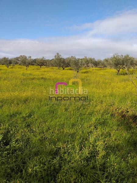 Foto 2a1b2cb8-d064-44ea-a8a9-fa7f07d58b21. Terreno residenziale in Las Vaguadas Badajoz