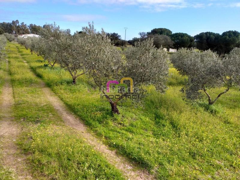 Foto 34fb50ad-3975-4ff6-9bcf-9681849b1c2b. Terreno residenziale in Las Vaguadas Badajoz