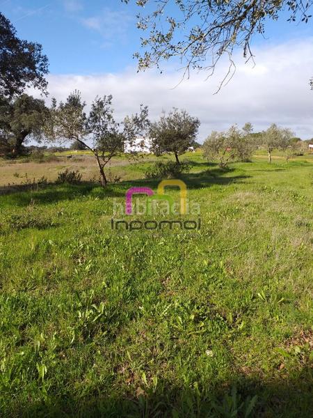 Foto 420fbe4f-b3a4-4aa3-9d9c-ae604c4b5b08. Terreno residenziale in Las Vaguadas Badajoz