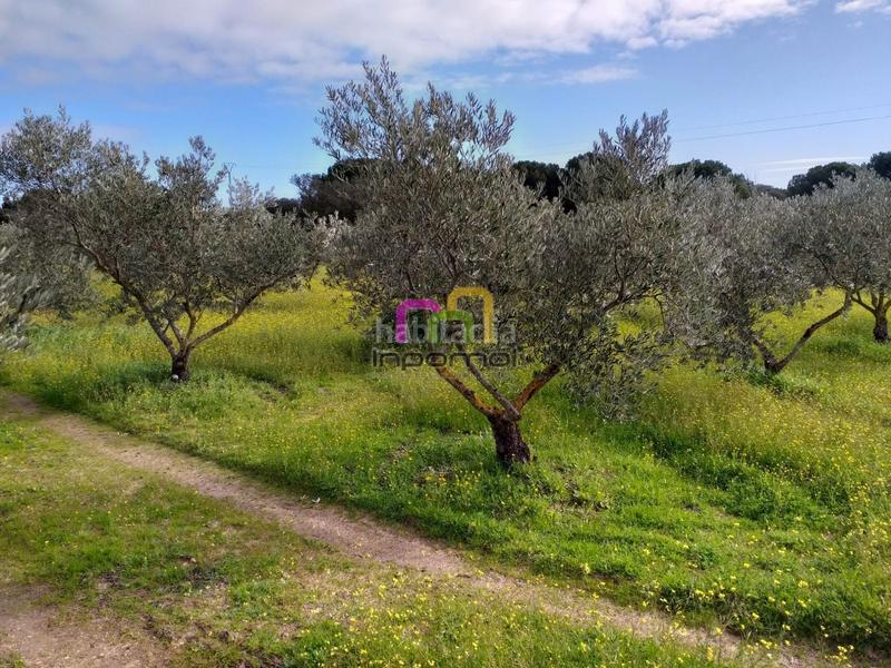 Foto b64bd5f3-d8e3-43ea-902c-aafc7f8ab960. Terreno residenziale in Las Vaguadas Badajoz