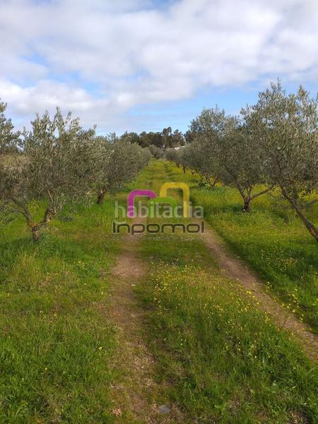 Foto dae02fd3-0fff-40cc-b78b-5b31c11dcbcd. Terreno residenziale in Las Vaguadas Badajoz