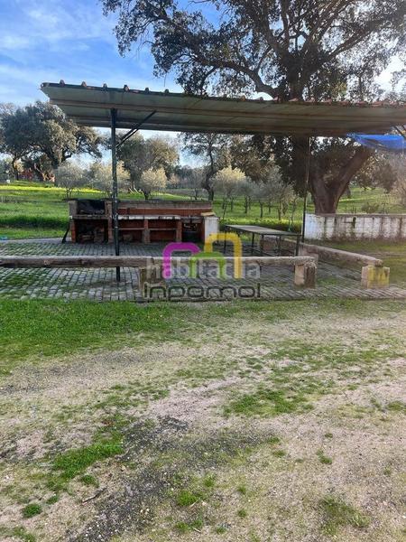 Foto 3f2eb706-bb6d-4ff8-bc22-bd5fc00b018b. Masia amb calefacció aparcament piscina a Las Vaguadas Badajoz