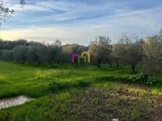 Masia a Las Vaguadas. Magnifica casa con terreno en el manantío!!!