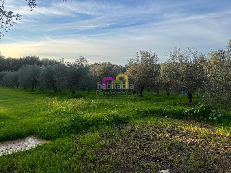 Foto 5875bda2-c425-4a32-bc97-2fefe7afde0d. Masia amb calefacció aparcament piscina a Las Vaguadas Badajoz