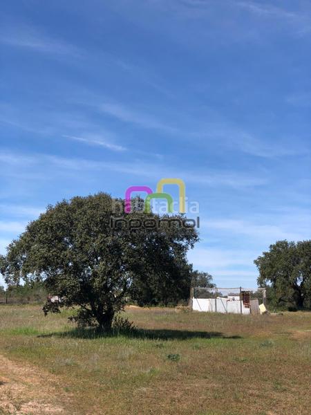 Foto 01c5ccee-93b6-4c12-becb-3cb74d855a71. Terreno residenziale in Las Vaguadas Badajoz