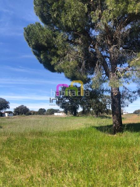 Foto 1df8ab36-2d84-47d6-a2a7-88bba01f5bfb. Terreno residenziale in Las Vaguadas Badajoz