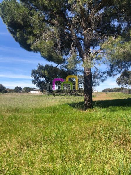 Foto 624c7371-e15e-4956-992b-9998794a16fa. Terreno residenziale in Las Vaguadas Badajoz