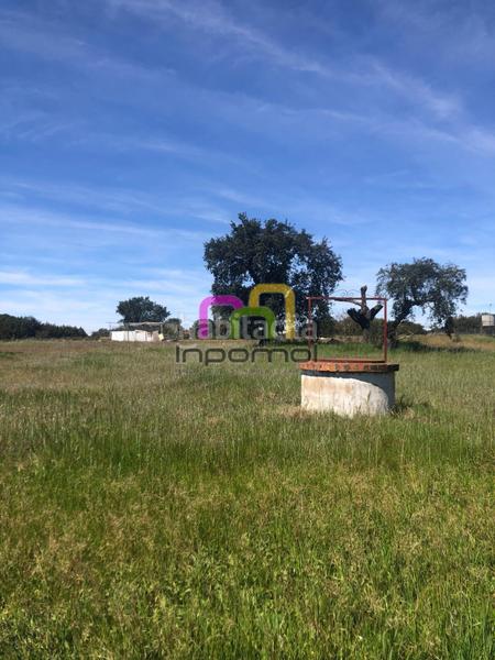 Foto 8a4fb18b-9dea-424a-80a6-ead35d7c74fa. Terreno residenziale in Las Vaguadas Badajoz