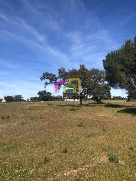 Foto ae723332-12e9-48be-afc2-7e9e953051ff. Terreno residenziale in Las Vaguadas Badajoz