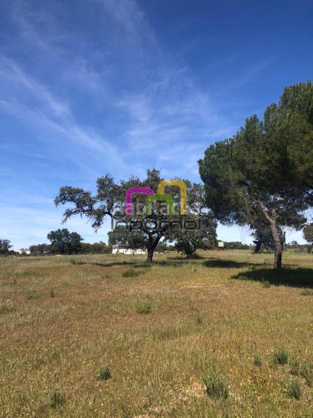 Foto dede5ef1-da63-4cf8-ab17-5d21e66496b3. Terreno residenziale in Las Vaguadas Badajoz