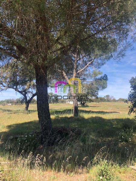 Foto e4c26224-ed59-4121-83f5-cae9f50b2969. Terreno residenziale in Las Vaguadas Badajoz