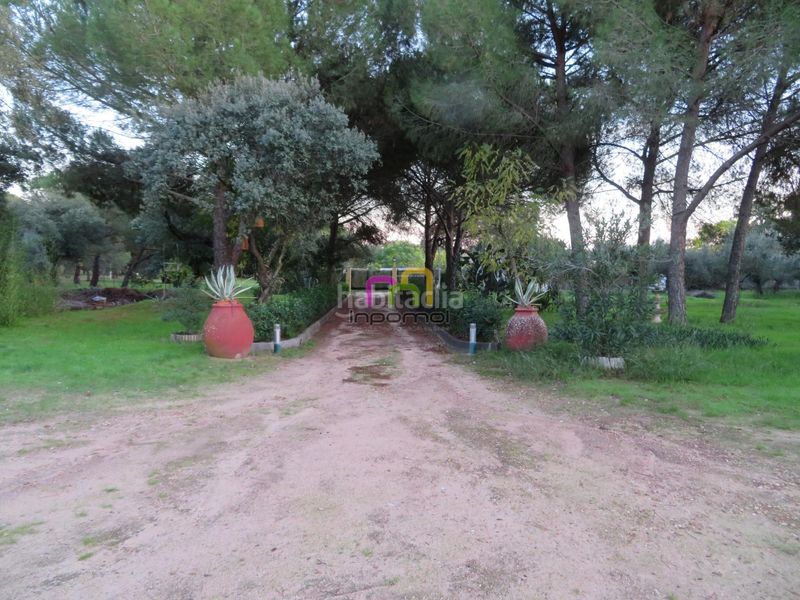 Foto 0dc155aa-e84e-4a90-8744-53338029572e. Masia amb calefacció aparcament piscina a Casco Antiguo Badajoz