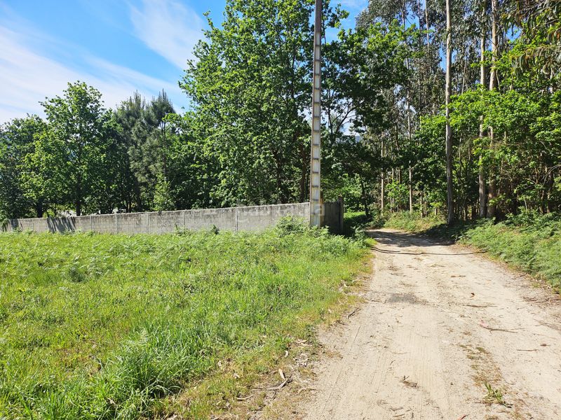 Foto ff09d8c3-0e91-48ca-ba05-2b4fe355568e. Finca rústica a estrada de peiro a Culleredo 52 a Culleredo