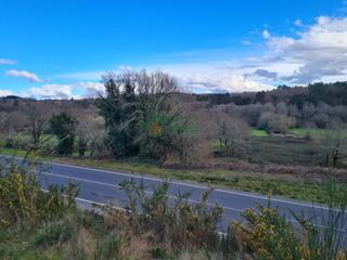 Terrain résidentiel à Carretera de celanova