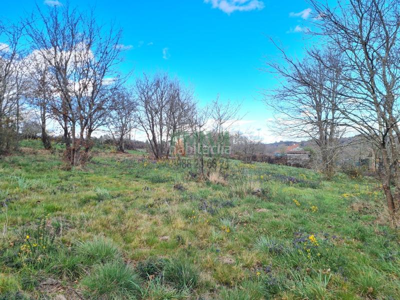 Foto 083afd0f-18c1-4f40-ad8b-076be3c36fd8. Terreno residenziale in carretera de celanova in San Cibrao das Viñas