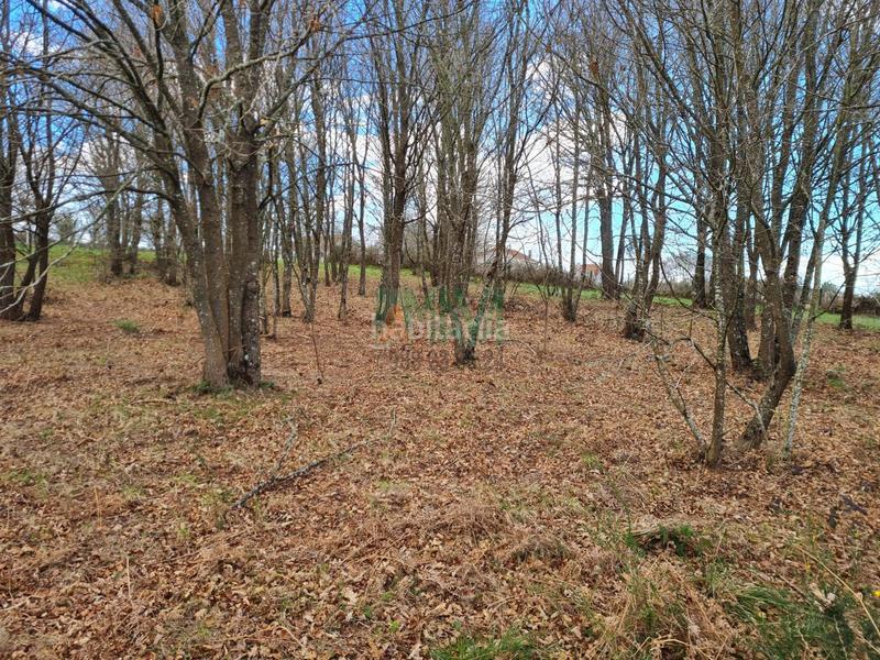 Foto 1fea1e11-305c-4bcd-b3fa-16885617a4d9. Terreno residenziale in carretera de celanova in San Cibrao das Viñas