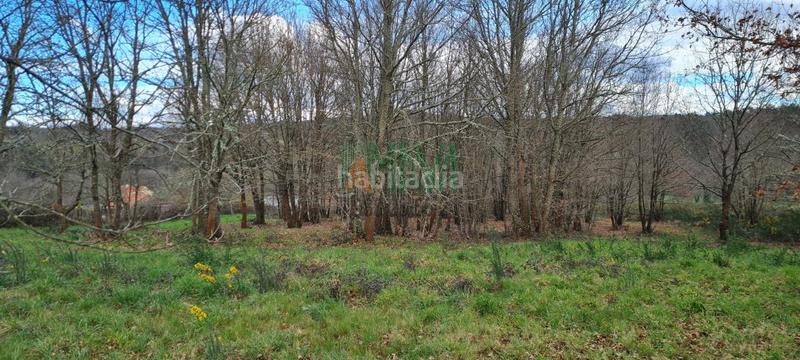 Foto 40f6f170-733d-4888-a4eb-08b2ffc2f683. Terreno residenziale in carretera de celanova in San Cibrao das Viñas