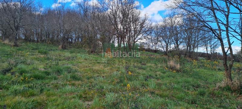 Foto 530f8cb8-f3ce-4cb5-b4af-2026afb961e2. Terreno residenziale in carretera de celanova in San Cibrao das Viñas