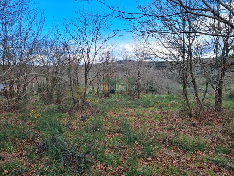 Foto 54d8f5d0-dcfa-4065-a288-34934fe4b6d9. Terreno residenziale in carretera de celanova in San Cibrao das Viñas