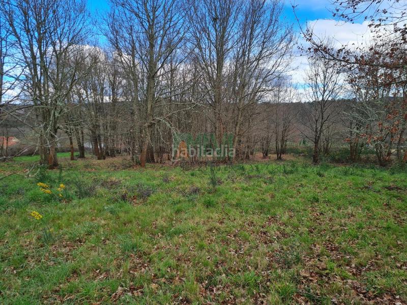 Foto cd03b7b5-6d0b-4902-91c8-9e483021c82c. Terreno residenziale in carretera de celanova in San Cibrao das Viñas
