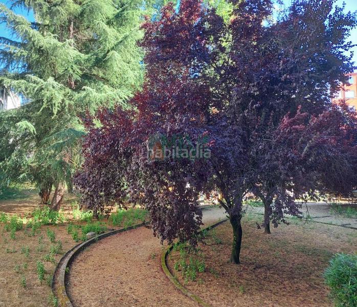 Foto cde6c2db-f8be-41a3-8c8e-225726cfecd7. Lloguer apartament amb calefacció aparcament a Universidad Ourense