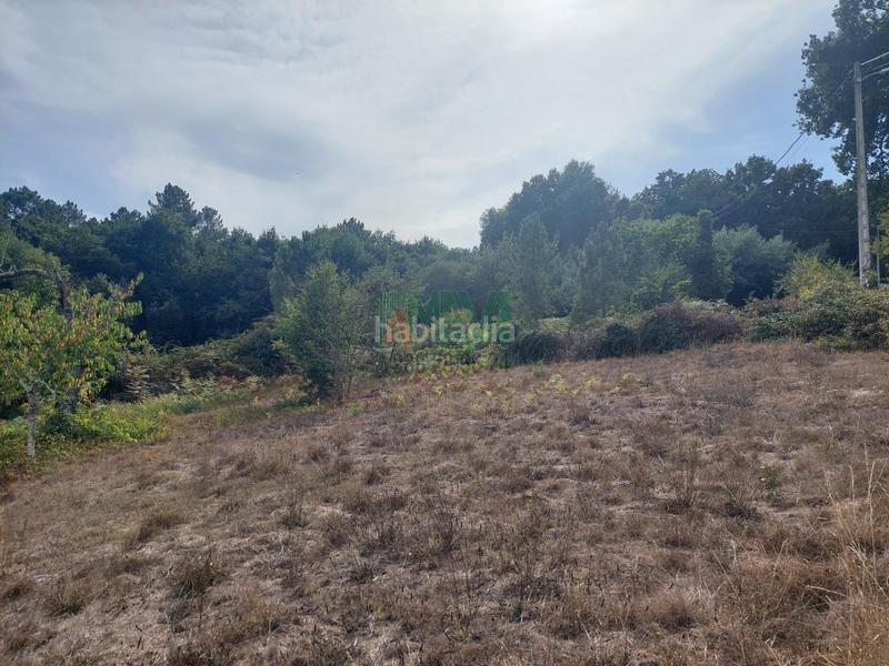 Foto 04f6fd80-9198-4756-a4df-f6dcfbff2547. Casa en Punxín