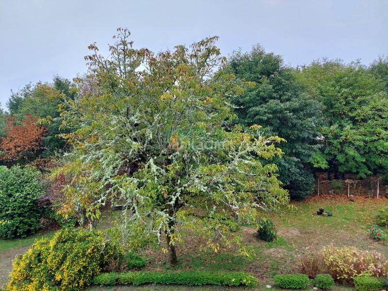 Foto 2760be8e-47b3-4023-9255-f6feccdd009f. Xalet amb calefacció aparcament a Ventiun Ourense