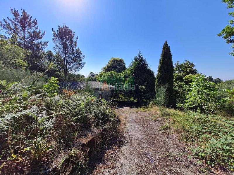 Foto 7d37e48b-6393-476f-8592-db8fedfd82c0. Landgut in Coles