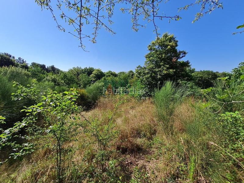 Foto 12592301-6af5-42ca-ba8d-a03e9ed011a4. Finca rústica en Coles