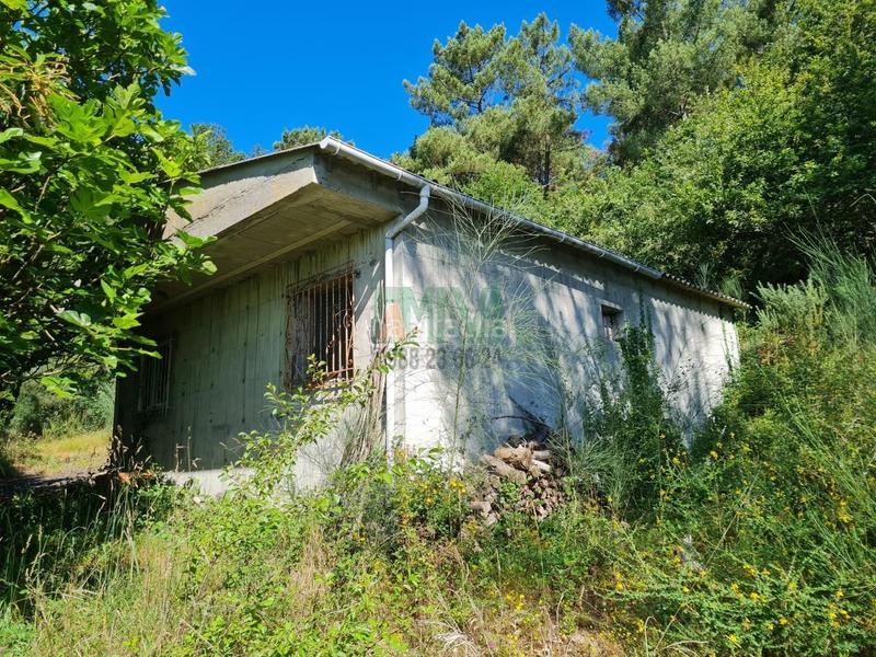 Foto 6a5c1ed3-a9a5-4888-94c1-eaf1bebf16fc. Finca rústica en Coles