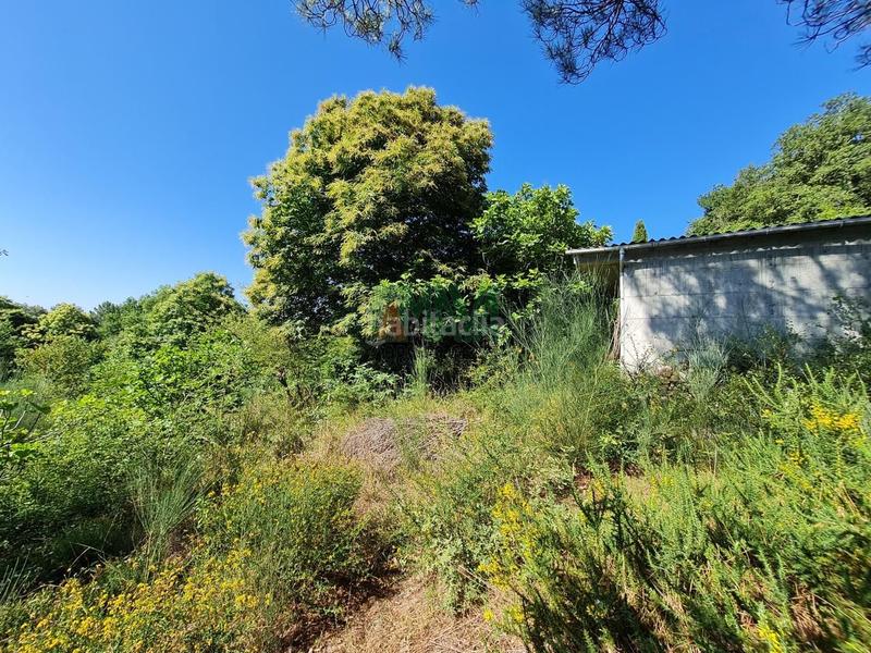 Foto 8e152311-22e4-4632-9e79-fa01d2a9d029. Finca rústica en Coles