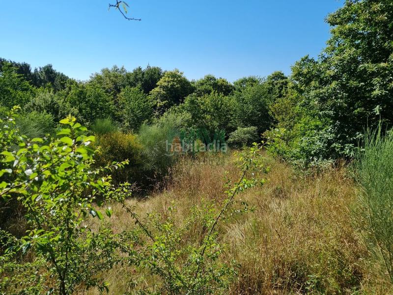 Foto 986a8b5e-118d-4582-8175-2ed14104fa32. Finca rústica en Coles