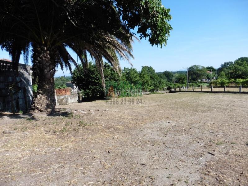 Foto 4179b367-6d0b-4663-ba46-c846bf6c08de. Casale in Amoeiro