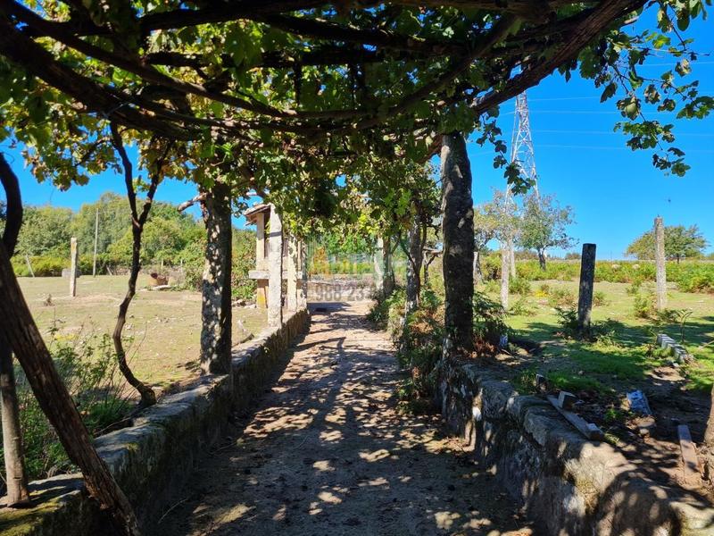 Foto 86e83262-9fd6-49f0-8a4b-0b684fa11a72. Casale in Amoeiro