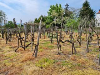 Terreno residencial en Ventiun