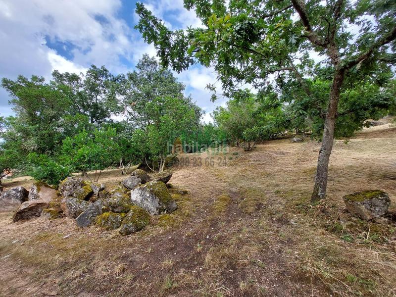 Foto 8f155584-6467-440e-b879-82a4c2b5d47c. Residential plot in As Lagoas Ourense