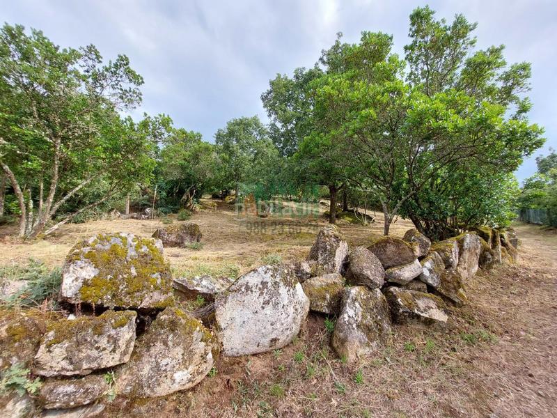Foto c2fe7674-c9a7-4d65-8318-e85f5e807a4b. Residential plot in As Lagoas Ourense