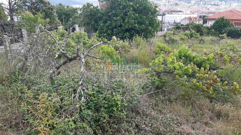 Foto b6cdb17b-4e56-4b41-a5c8-78d3a2efb2e9. Residential plot in A Carballeira Ourense