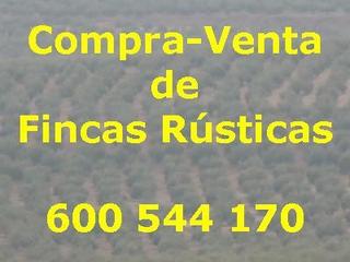 Finca rústica a Quesada. Finca rúst. en venta en quesada.